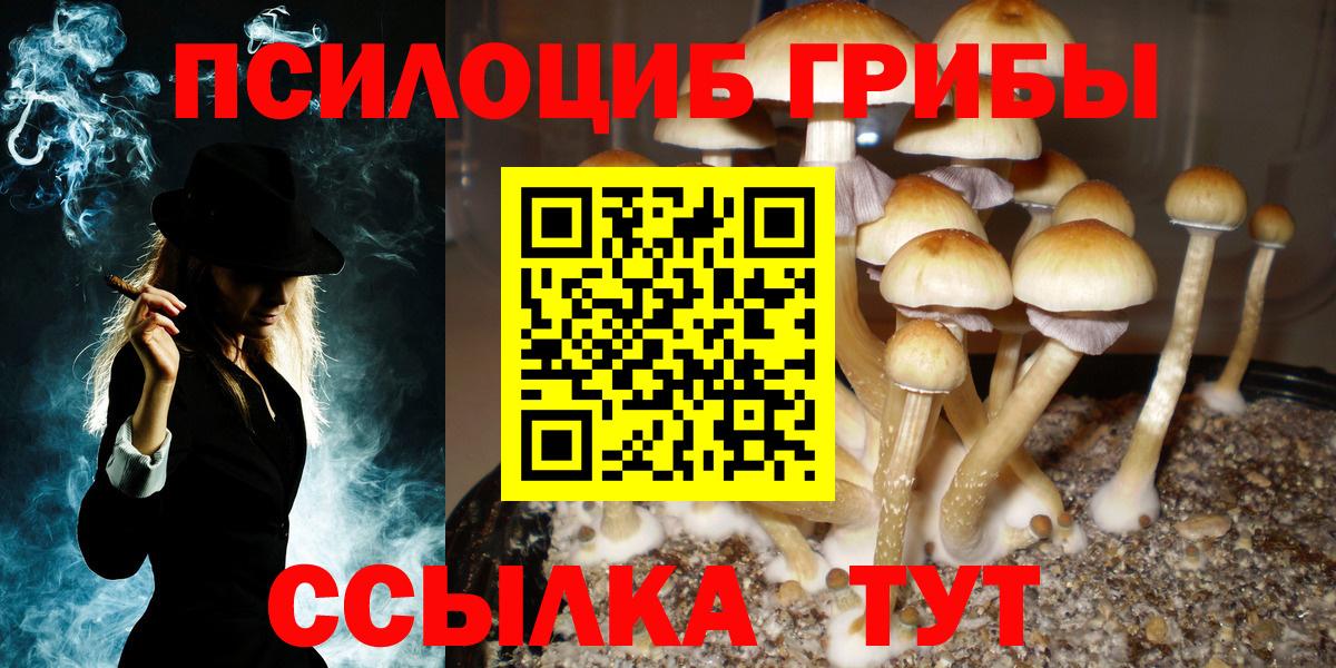 Галлюциногенные грибы Magic Shrooms  Вход с VPN  Галлюциногенные грибы прущие грибы  Ахтубинск 