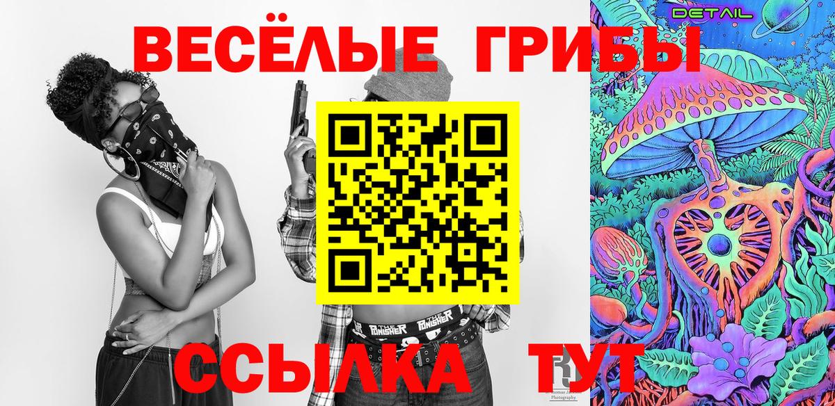Псилоцибиновые грибы мицелий Ахтубинск