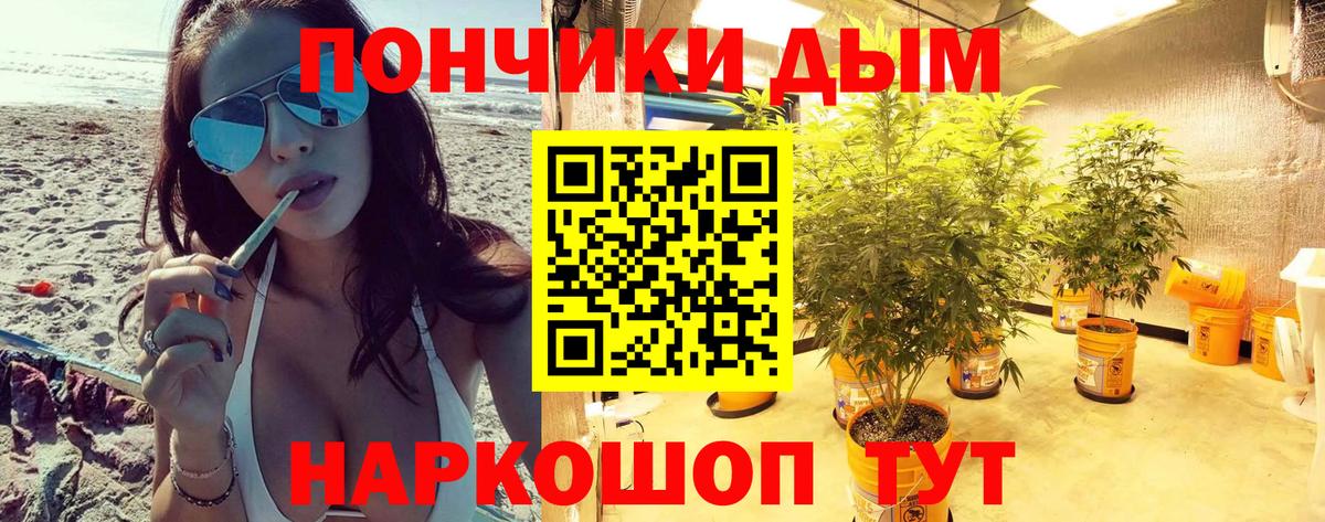 Шишки марихуана Amnesia  Вход с VPN  Шишки марихуана Amnesia  Бошки марихуана конопля  Бошки Шишки конопля  Ахтубинск 